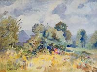 Wild Flowers and Trees - click to view larger image...