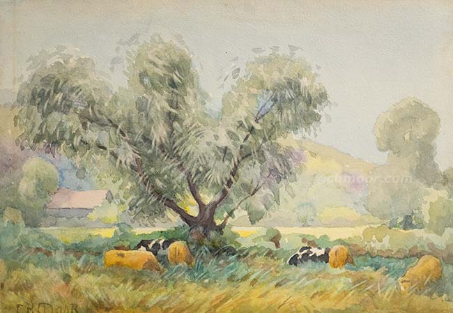 Charlie Baltz Cows