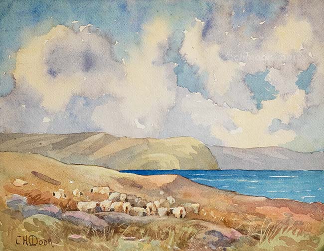 Sheep by the Sea