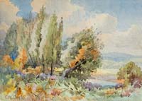 Stand of Trees - click to view larger image...