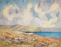 Sheep by the Sea - click to view larger image...