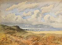 Seaside Field - click to view larger image...